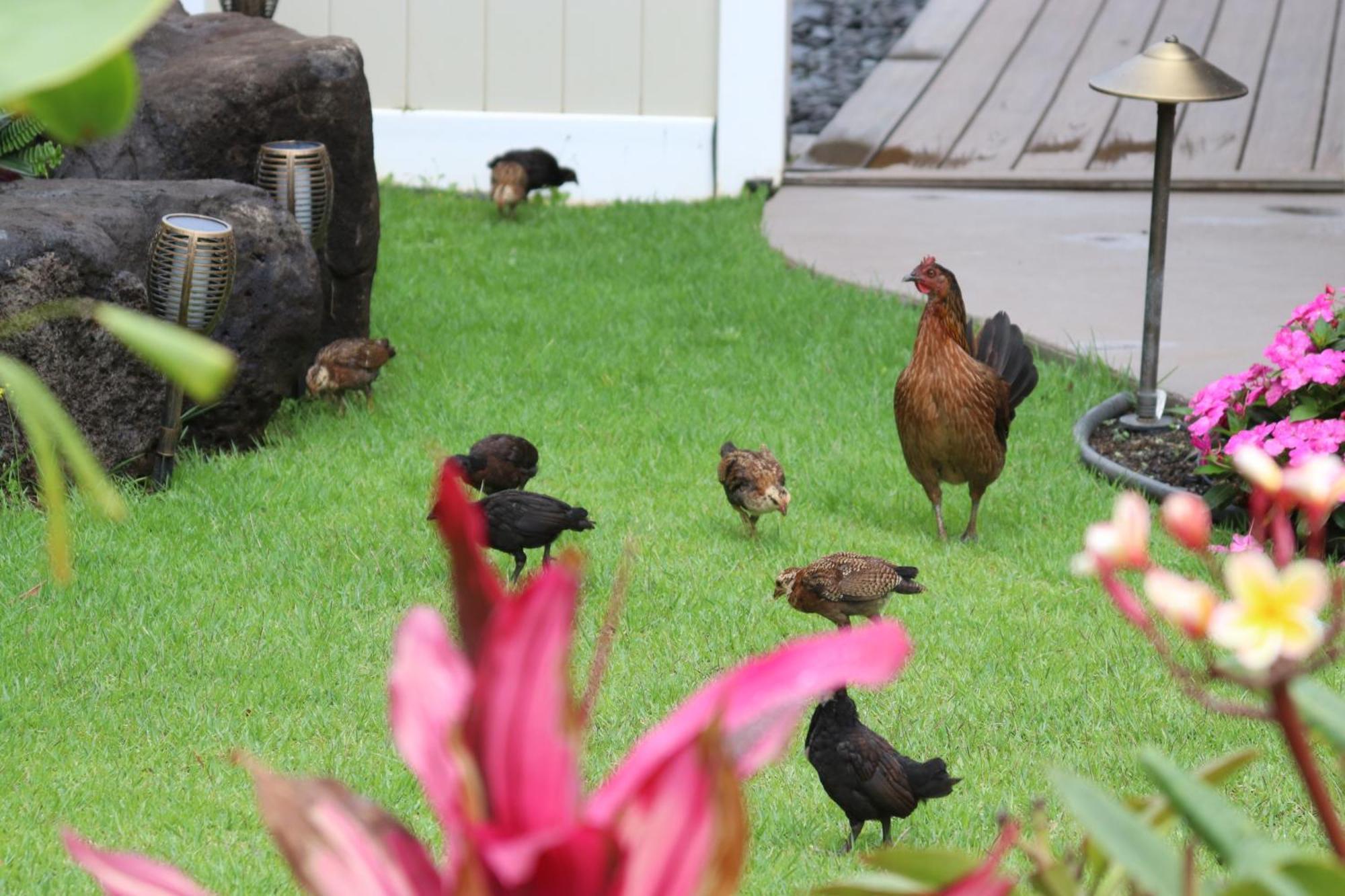New 4 Bedroom Home With Ocean And Gorgeous Mountain Views In The Gated Community Of Mauna Olu Waianae Exterior foto